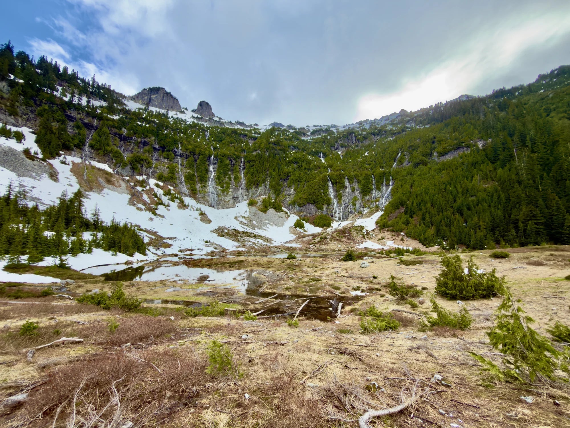 Roark’s photograph of an alpine landscape with snow, trees, and mountain peaks